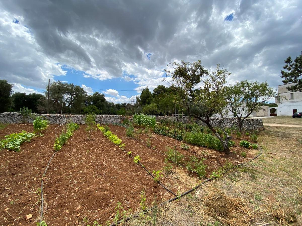 Ferienwohnung Masseria Cervellera Ceglie Messapica Exterior foto