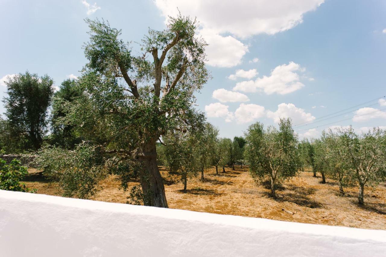 Ferienwohnung Masseria Cervellera Ceglie Messapica Exterior foto